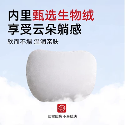 Headrest – Pillow and Lumbar Cushion, Same Model