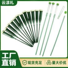 跨境鲜花保水营养管绿色带杆养花洋兰管储水小试胶管吸水培养管子