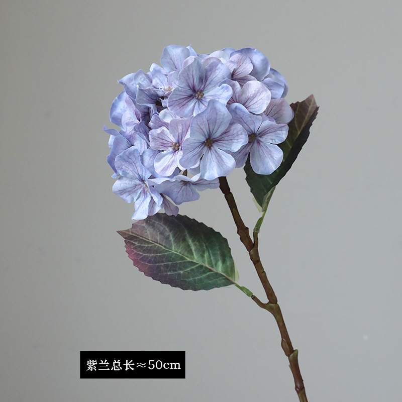 16 # 보라색 블루