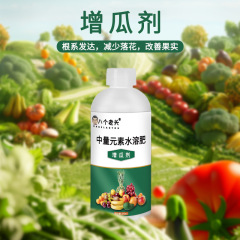 植物栄養液は、果実とメロンの増加を効率的に促進し、果実の座果率を向上させ、メロンの果実はふっくらとジューシーになります。