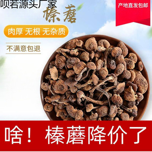 �|���Ģ���lС�u��Ģ���L��ɽ�خa��؛500�Ģ��؛���l�S