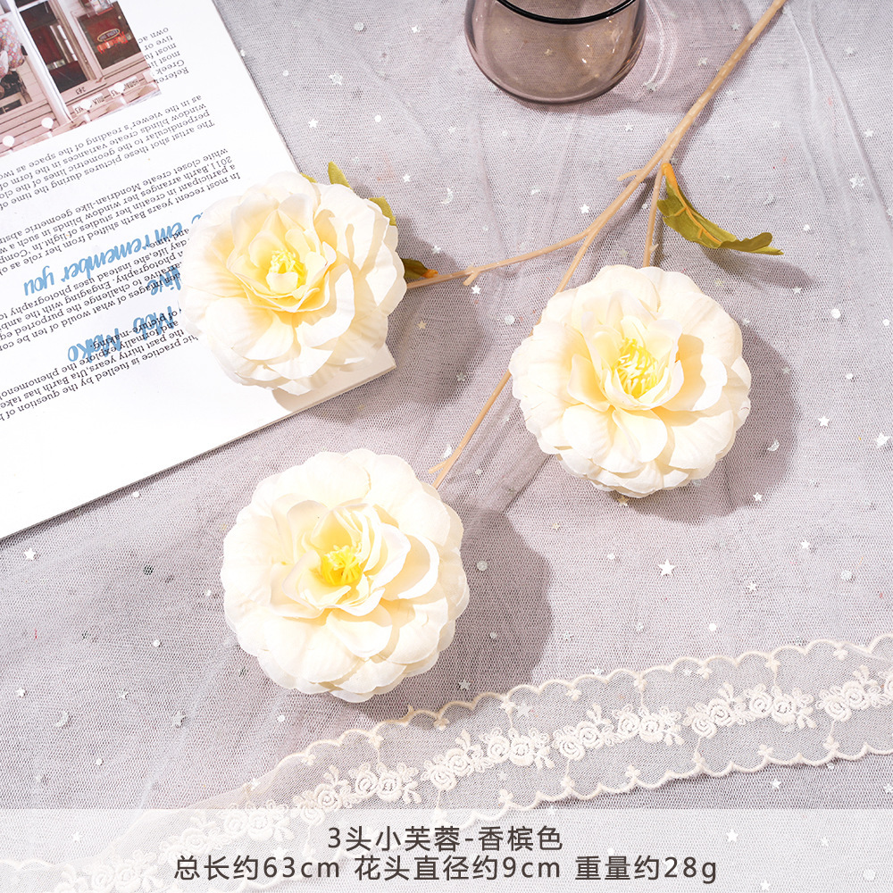 Y-3头小芙蓉-香槟色