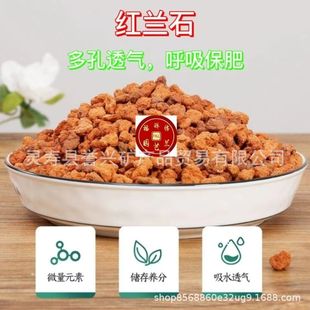 �S�����l�Gֲ������w���m��ֲ�ό��üt�mʯ���|�׷Nֲ�I�B