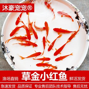 ��������t�ݽ��~С�t�~�\�aС�͌����^�p�~���B�ͻ����ˮ��ˮ�~