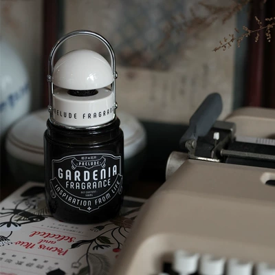 Type Fragrance Car Interior Decoration | Car Perfume Aromatherapy