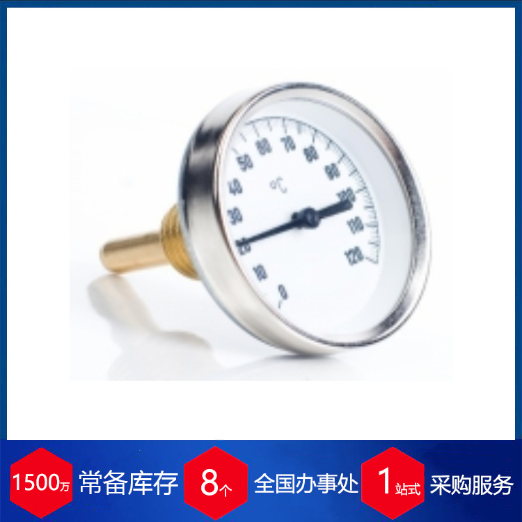 德国Thermobau Wirthwein双金属温度计H002