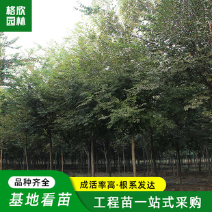 ���ͼt�Θ������l ���^���̾G��Ѫ�Θ乫�@��·�L����ͥ�a�Θ���