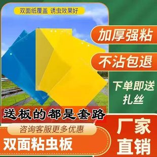 Double-Sided Yellow Fly Trap Sticky Insect Board Yellow and Blue Integrated Insect Board Agricultural Vegetable Garden Field Insect Catching Stickers Wholesale