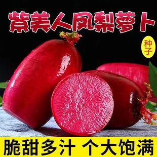 �������P��ˮ���}���N�ӼtƤ�t���������ɿڝM�üt����������N