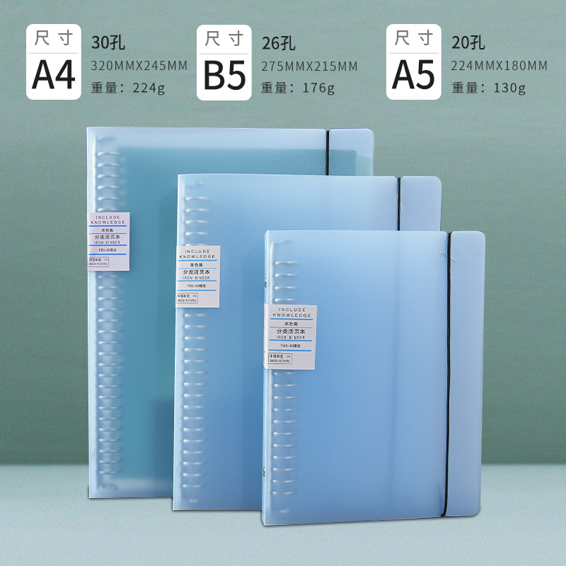 A5/20 홀/블루 빈 클립 스트랩