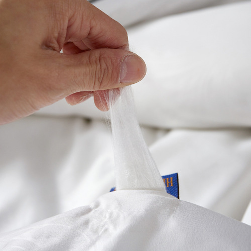 Factory Direct Sales Silk Comforter Spring and Autumn Thick Winter Comforter Clearance Event Gift Bedding Hotel Homestay Duvet Insert Wholesale