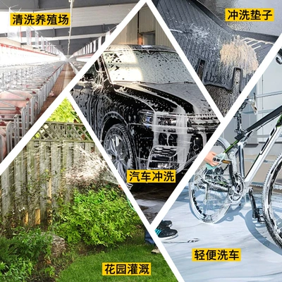 car washing machine, Portable car washer