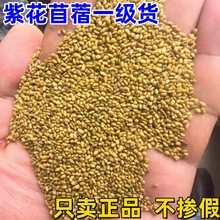 wlϻޣNݷNͺ͟ιţޣó