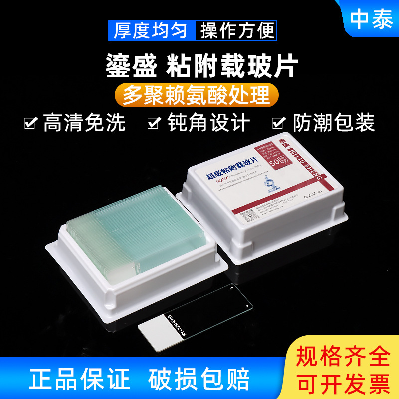 鎏盛 高清免洗多聚赖氨酸 免疫组化防脱粘附载玻片188158