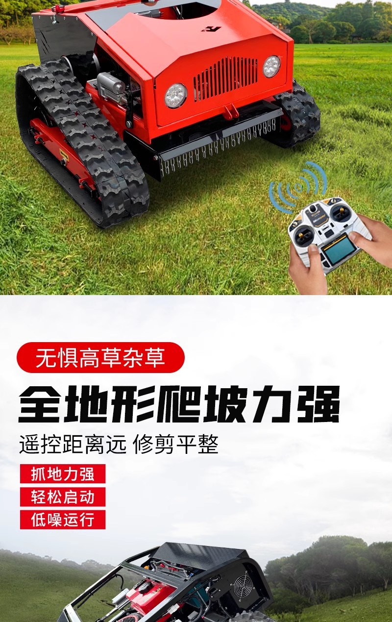 详情5