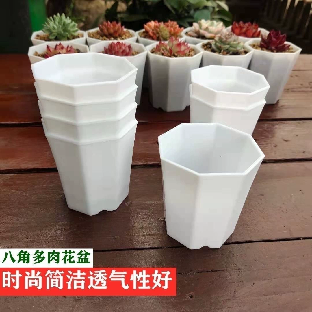 Восьмиугольный суккулентный цветочный горшок диаметром 4,5/5,8/ 6.8cm креативный горшок для суккулентных растений литопс цветочный горшок восьмиугольный горшок
