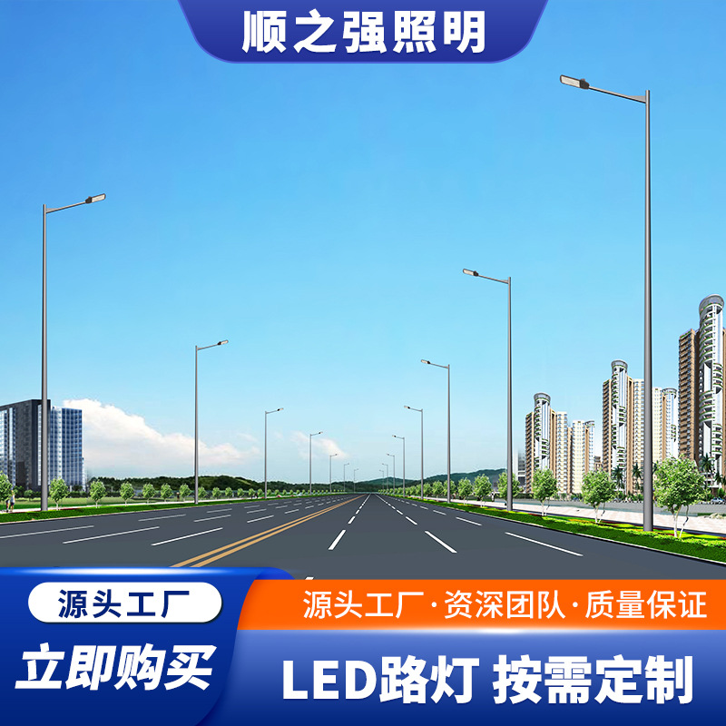 厂家批发 LED市电路灯杆6米7米8米 单臂双臂道路灯杆