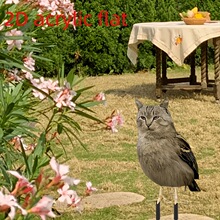 亚克力2D平面猫头鹰带猫头形状户外花园桩装饰地面插入物庭院草坪