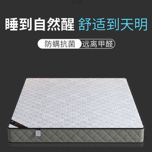 Mattress Independent Spring Mattress Coconut Palm Spring Mattress Thickened Extra Thick Bedroom Rental House Spring Mattress Supply Chain