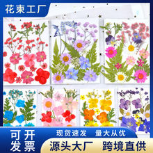 �ɻ��������ϰ�Ѻ��diyѺ���������z�ɻ��֙C������Ѻ��ֲ��˱�