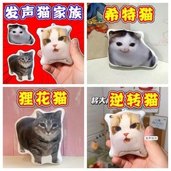 新型ベルリンの猫の声は大局的に逆転します。