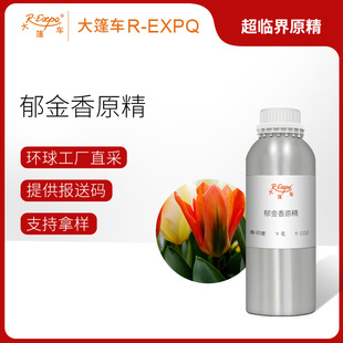 ������ԭ��Tulip ӡ��ֱ�ɾ��ͷ����o������{����޹����ԭ�����l