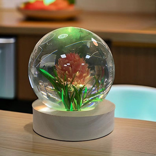 �羳؛Դ�����֬ˮ����Сҹ��������3D�ȵ�l�⌍ľ����ˮ���Y��