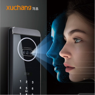 Full automatic household security door fingerprint lock password lock smart lock c-level core lock face recognition smart lock