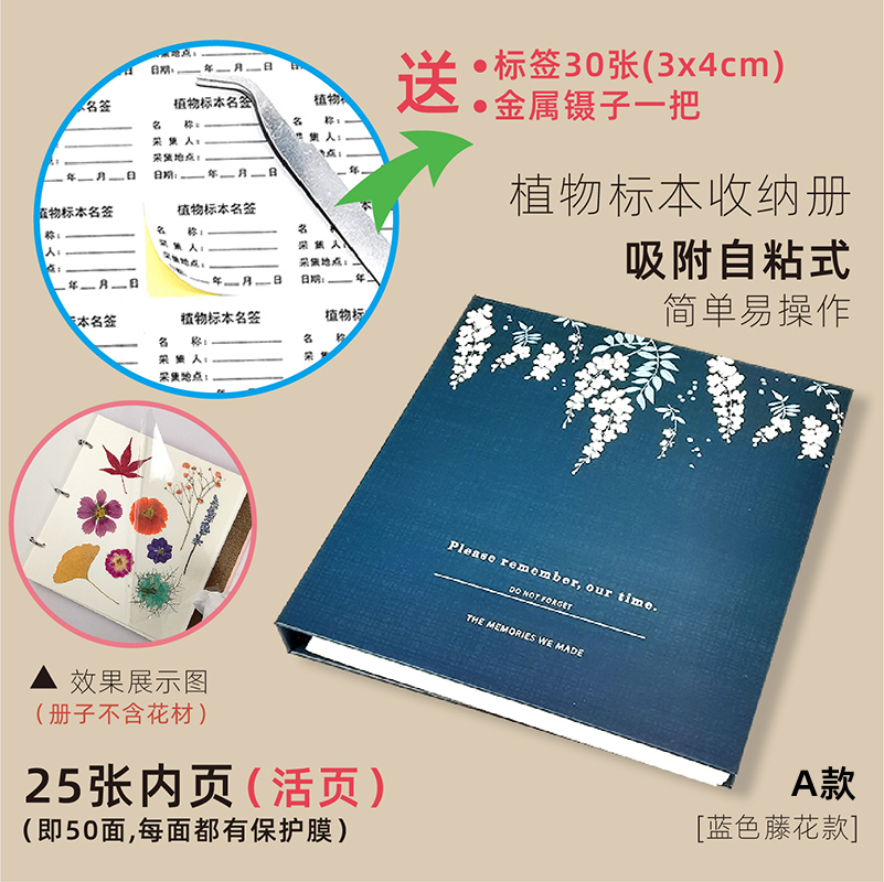 덩굴꽃(A형)에는 표본이 포함되어 있지 않습니다.