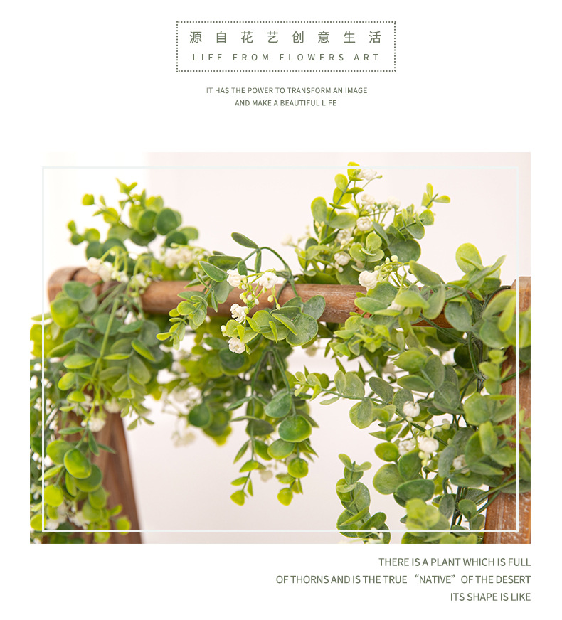 藤条详情-兰韵_02