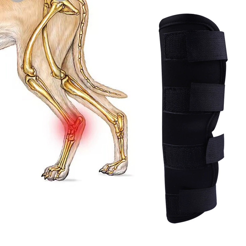 Ремешок для восстановления фиксации сустава с травмирования ноги собаки Обложка для ноги собаки Обертывание Крышка кронштейна для ног