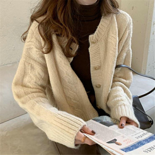 ܛŴ�q�д�ᘽg�����ſ�2026�����L�¿�ᘿ��͹��_��ë��Ů����