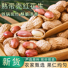 现货熟带壳红花生炒花生农家新货带壳红皮原味炒货支持一件代发