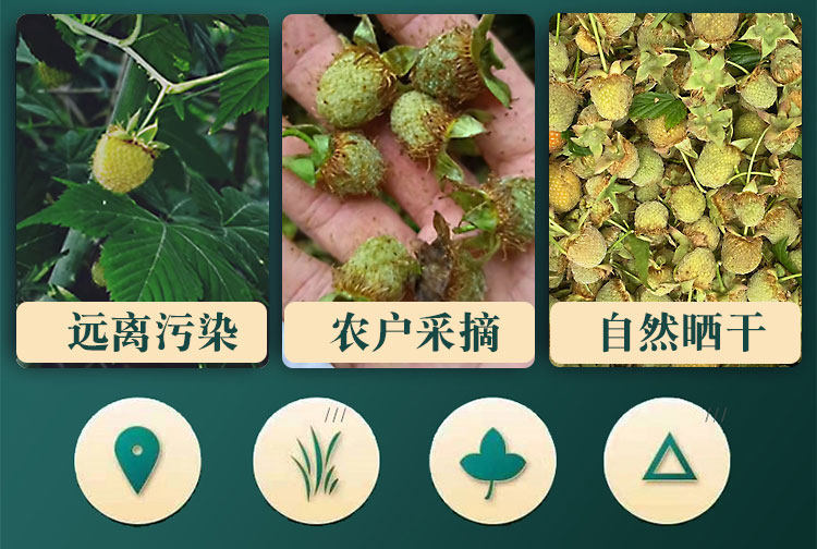 Fu Pen Zi Dried Raspberry Fruit 100g Wild Five-Lobe Rubus for Herbal Tea and Decoction key features