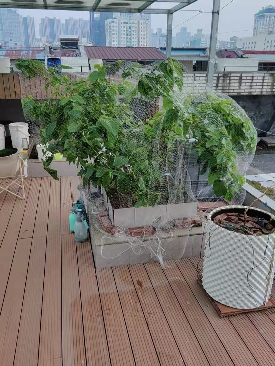 微信图片_20250410143152