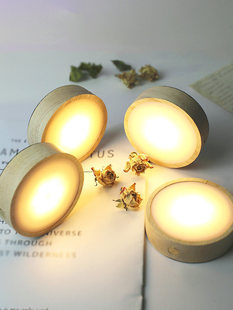 ����A�Ό�ľ�l�Ɑ�|�o�����LED����ˮ��������ƿ�~����޹����