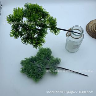 �����_�h����������ɘ��~ֲ������ӭ���ɾGֲ�쾰�����}�Q���