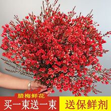 ���l�^�����ˮ�B���D÷���������r������ֱ�lֲ���҃�������r��