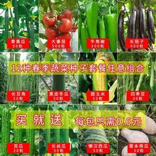 12�N�����߲˷N���ײͽz���S�������ļ������������������r�Ҳ˷N