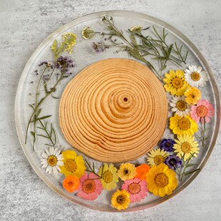 �ֹ�����޹�²����ϸɻ���ľ��݆ľƬ���z͸����ˮ����|�[���бP