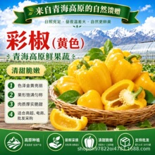 彩椒（黄）青海高原鲜果蔬