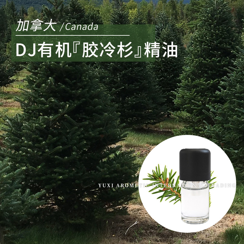 加拿大产香脂冷杉针叶蒸馏温暖木质香1ml有ji单方DJ胶冷杉精油
