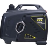 SADEN 1KW Цифровой частотный генератор DS1200I