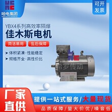 佳木斯股份防爆电机YBX3/YBX4/YBX5一级能效气体粉尘变频防爆电机