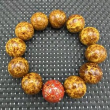 ����Ѫ��ľȫ͸��혼y�ִ������������Ů�������朵ؔ����l؛Դ