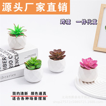 仿真绿植塑料植物家居室内北欧装饰摆件假花仿真花多肉小盆栽