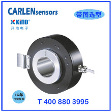 CARLEN CCA120ϵ aȫWx͈r