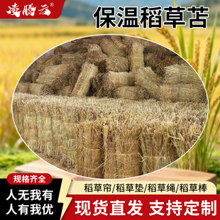 �S���N�ۜ��ұ��ص���ɻ��ꎷ��񵾲ݺ��u�����o��Ƭ��Ѵ�b���ݴ�