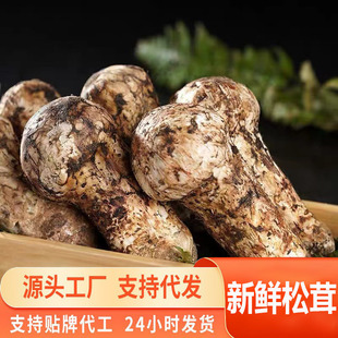 Դ�^һ�����l�����������������r���Įa�^δ�_���������