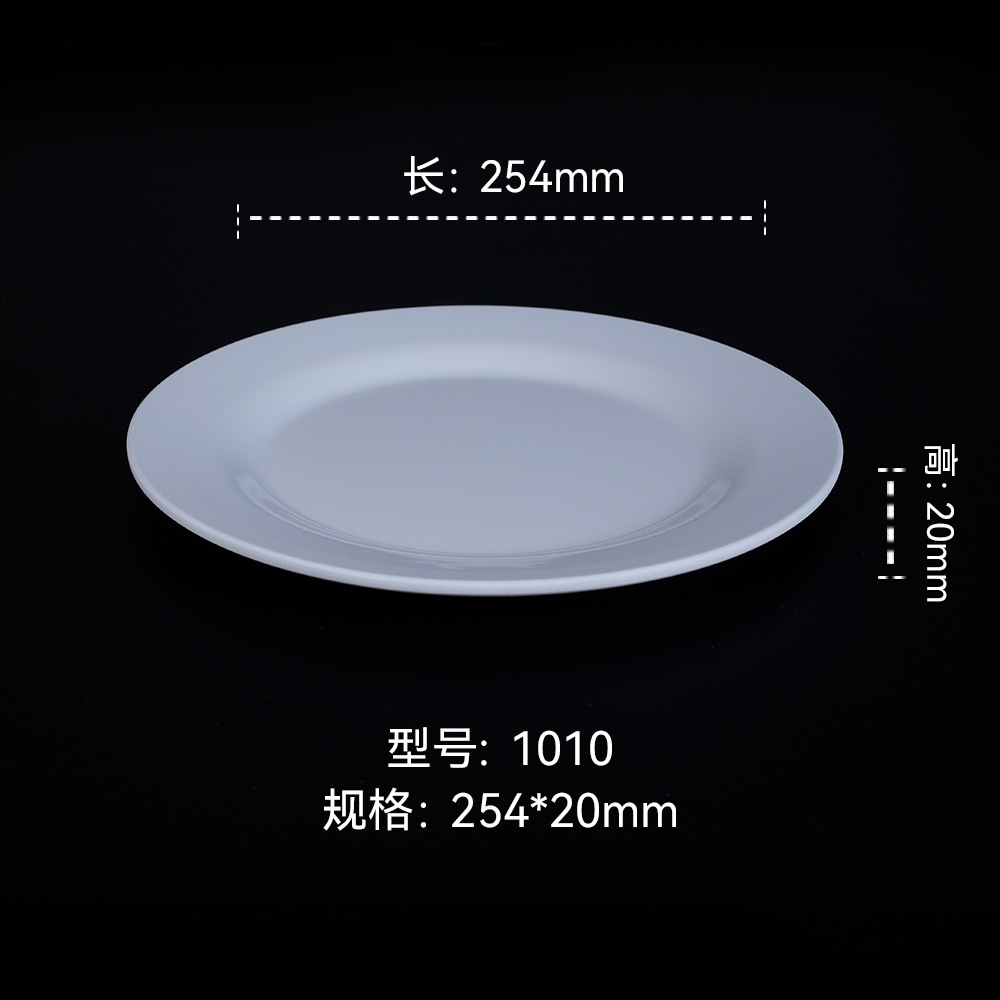 10inch 얕은 접시